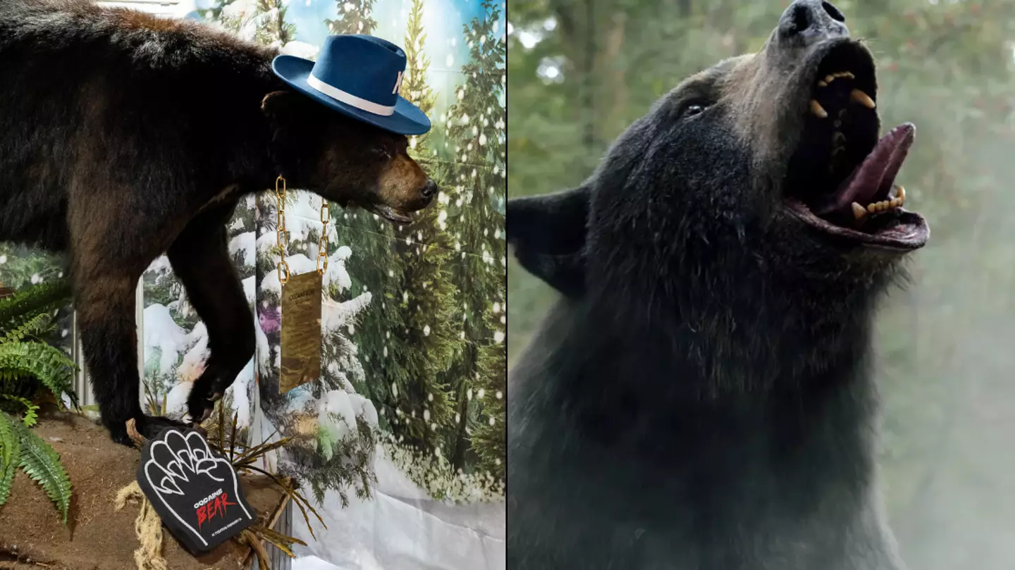 The insane true story behind real-life Cocaine Bear ‘Pablo Eskobear’ as film is added to Netflix
