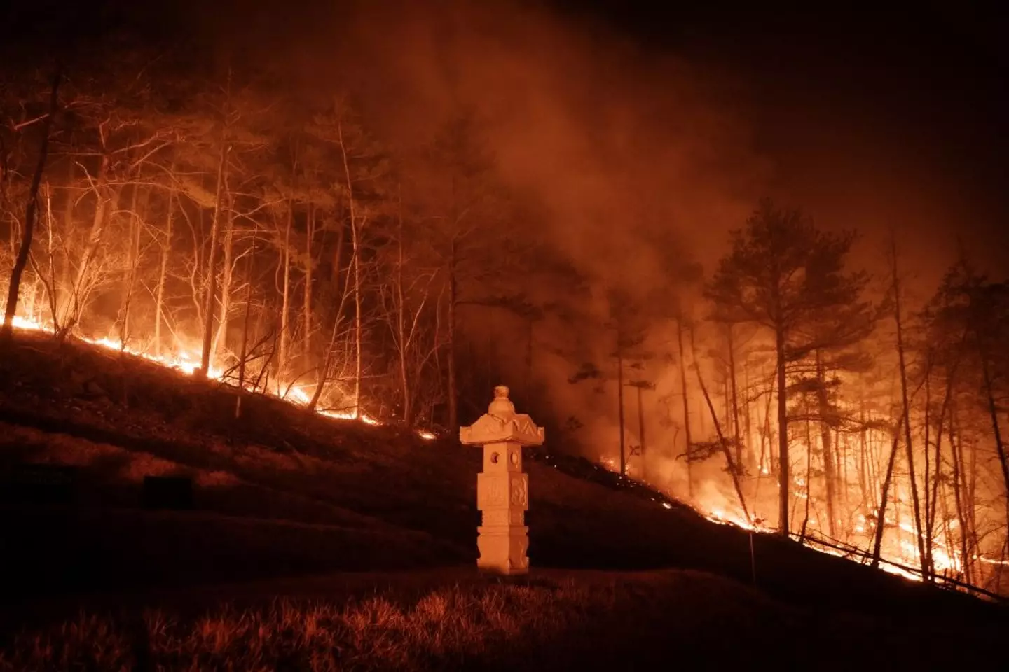 South Korean authorities say at least 23 people have died in the wildfires (YASUYOSHI CHIBA/AFP via Getty Images)