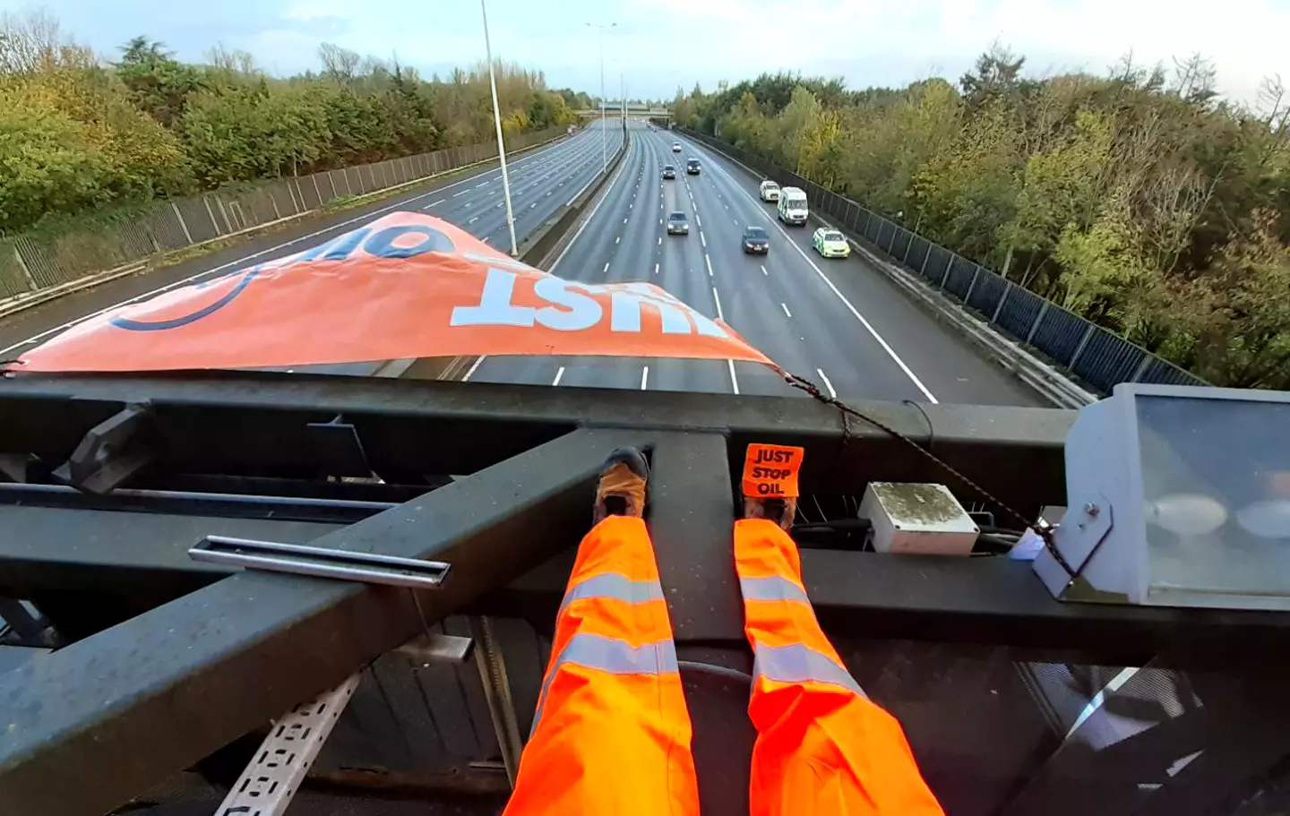Alfred Beswick was arrested after climbing onto a gantry on the M25.