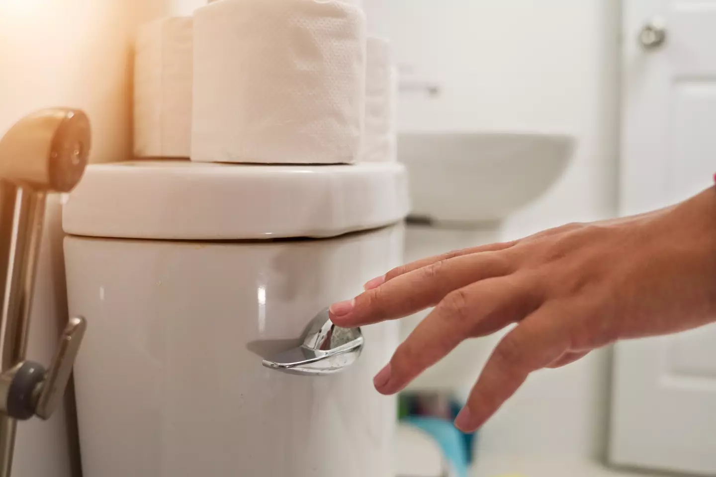 The flush of the toilet lets you know your film night is delayed (Getty stock image)