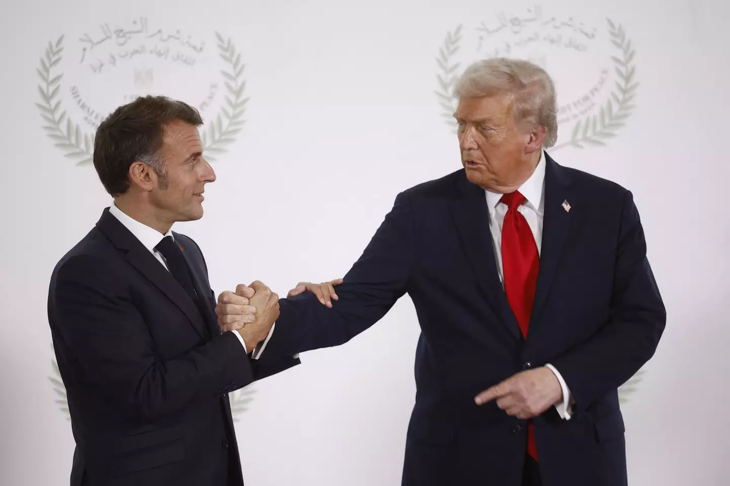The expert says they were battling for dominance. (YOAN VALAT/POOL/AFP via Getty Images)