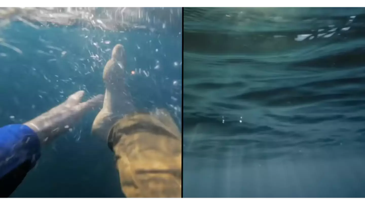 Terrifying simulator shows what it's like to drown