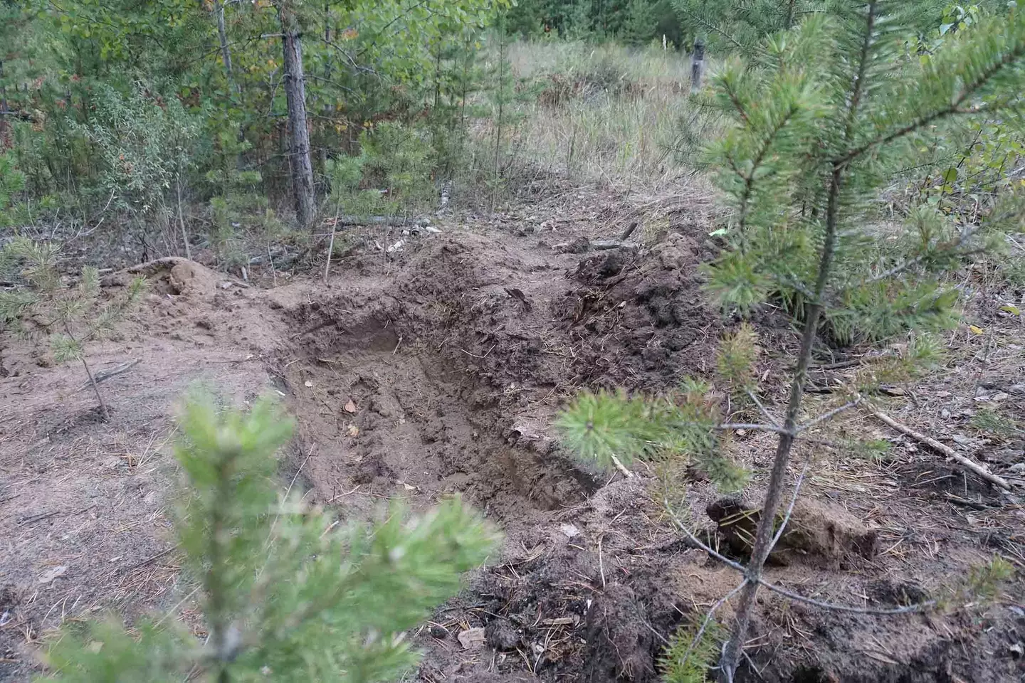 Matrosov forced Sviridov to dig his own grave (East2West)