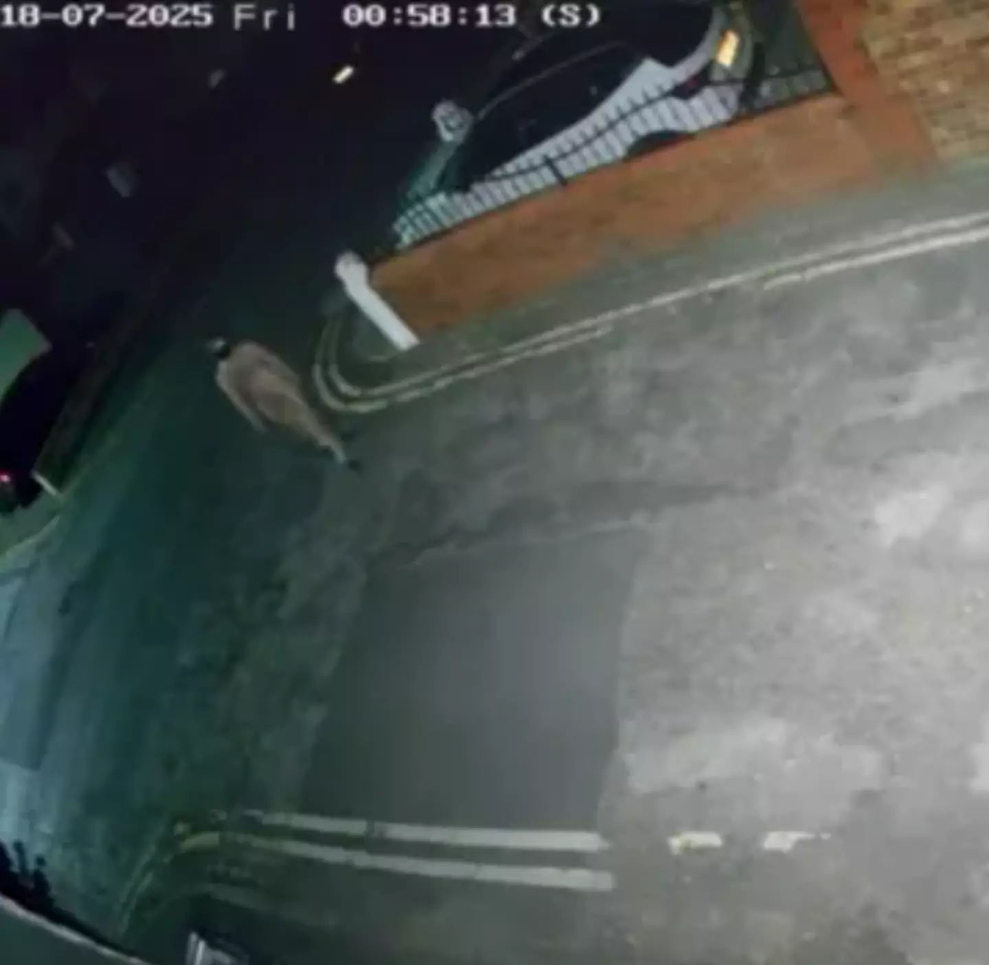 They were spotted in CCTV. (Facebook)