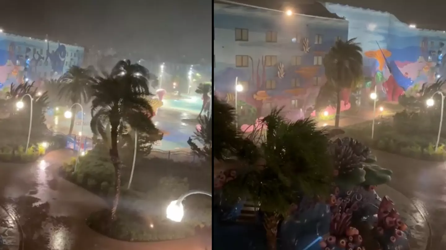 Tiktok/Justthemeparks