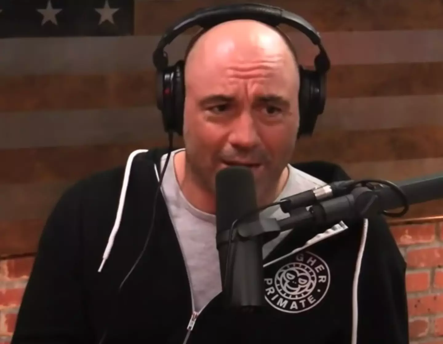 Did one bullet do all that or not? Does it matter? (YouTube/JRE Clips)