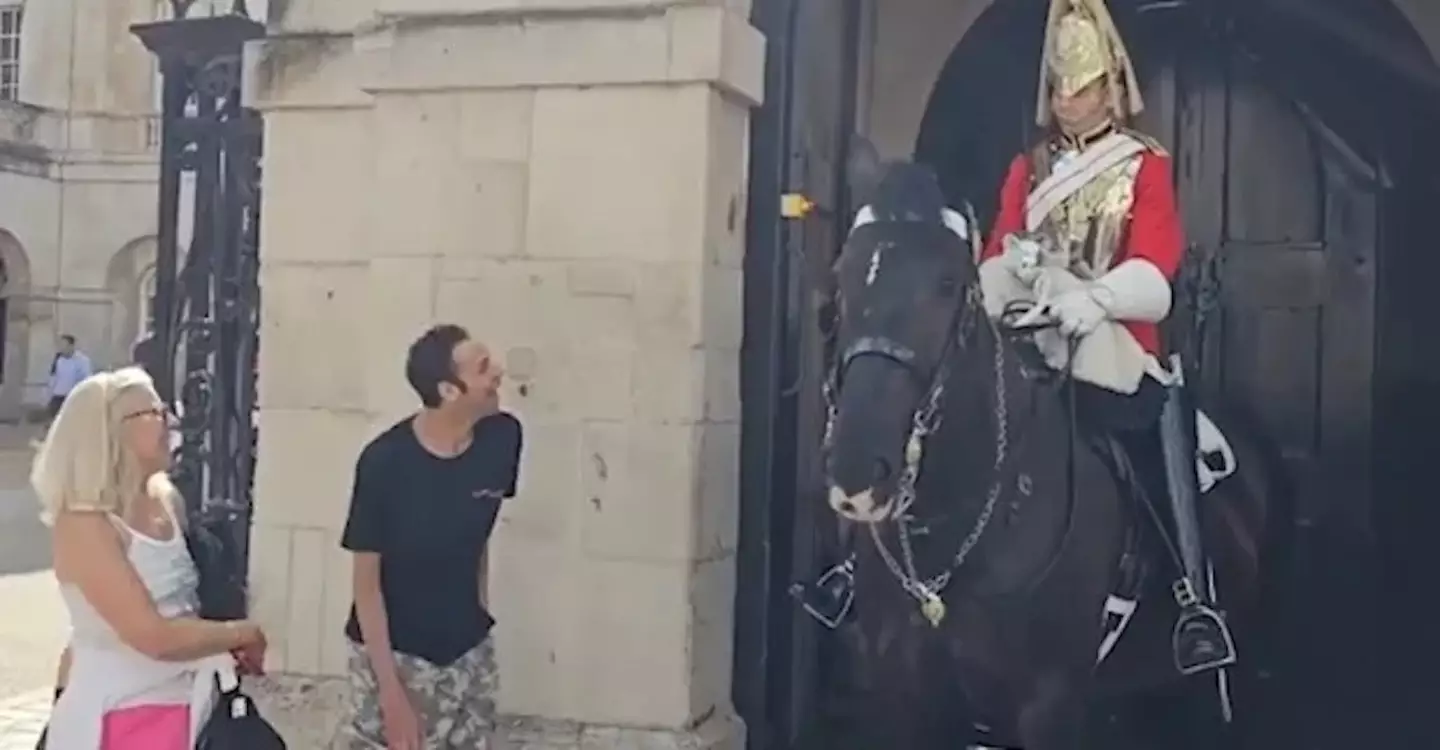 A King's Guard broke royal protocol to allow a man to pet his horse.