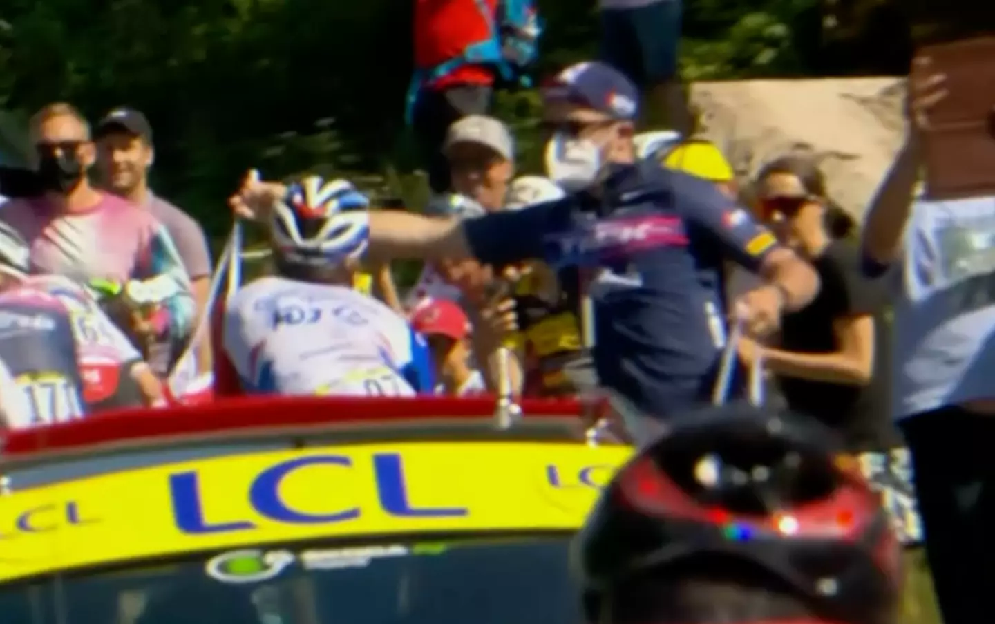 Pinot was hit by an assistant with a food bag.