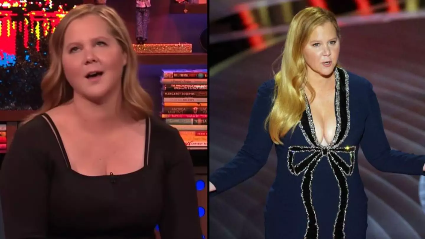 Amy Schumer Responds To Claims She Stole Leonardo DiCaprio Joke