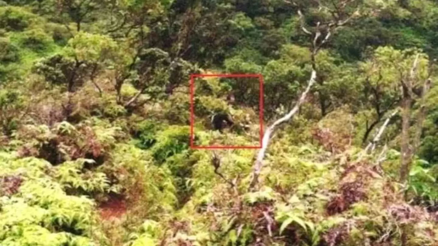 Crime Stoppers Honolulu