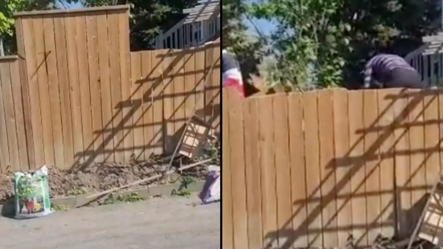 Man urged to get a lawyer after angry neighbours are caught cutting down shared fence