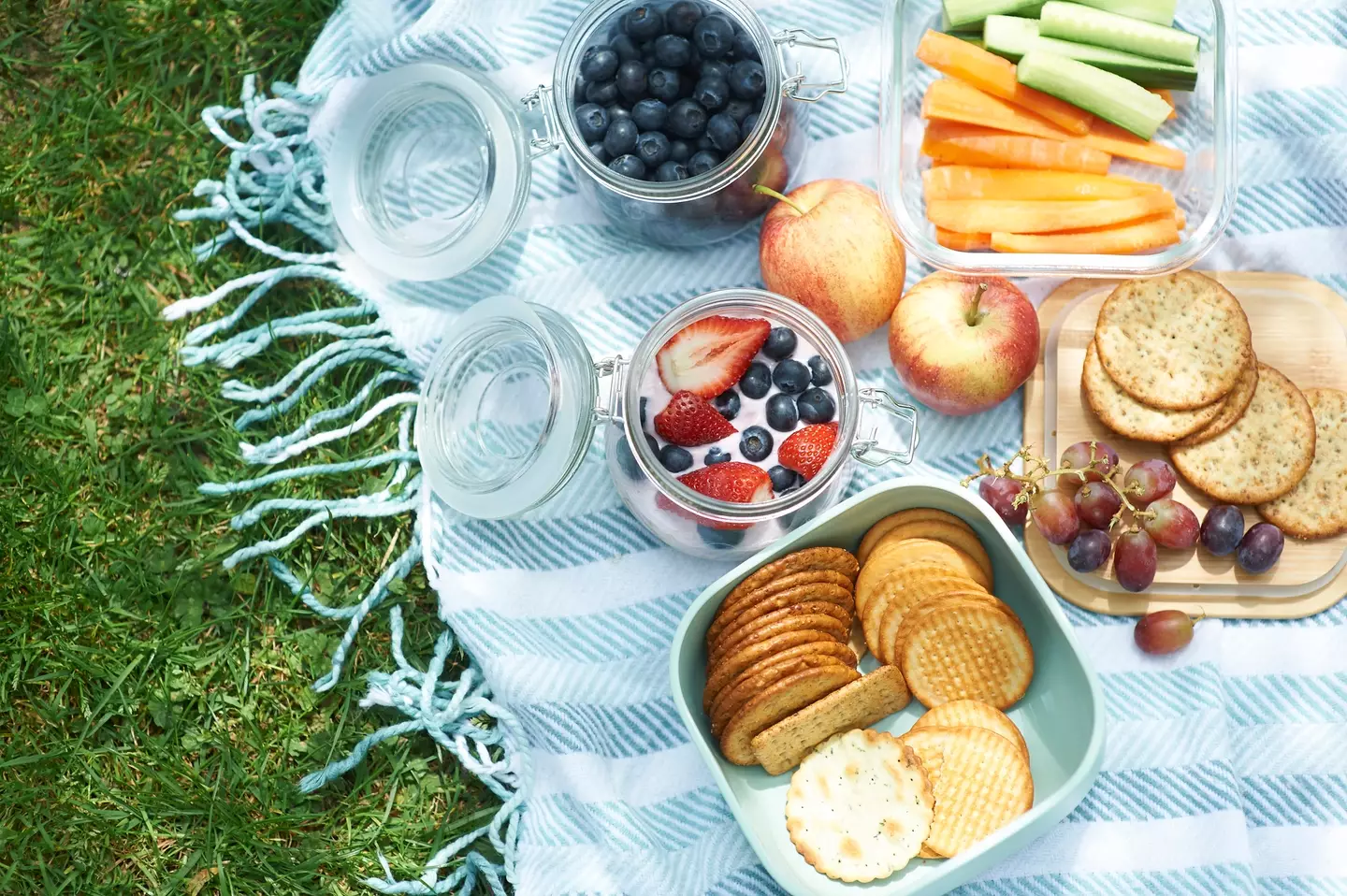 Dr. Kiss said she'd never eat left out picnic food (Getty Stock Photo)