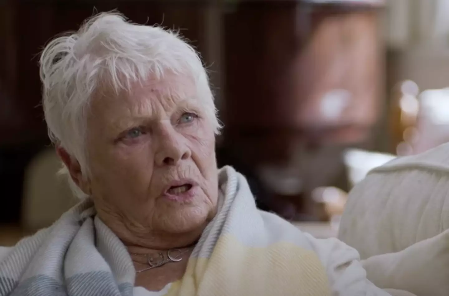 Theroux asked Dench about being a 'national treasure'.