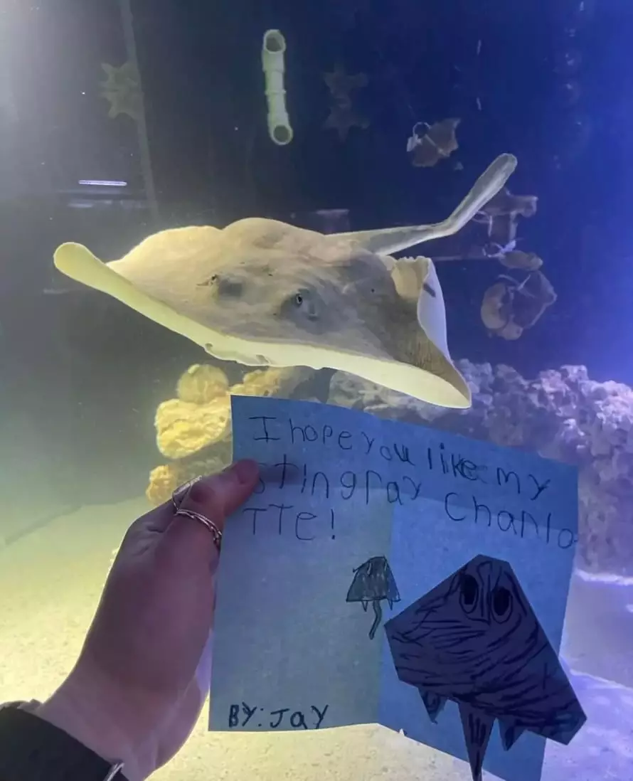 Fans flocked to see Charlotte at the aquarium in North Carolina (Team ECCO)