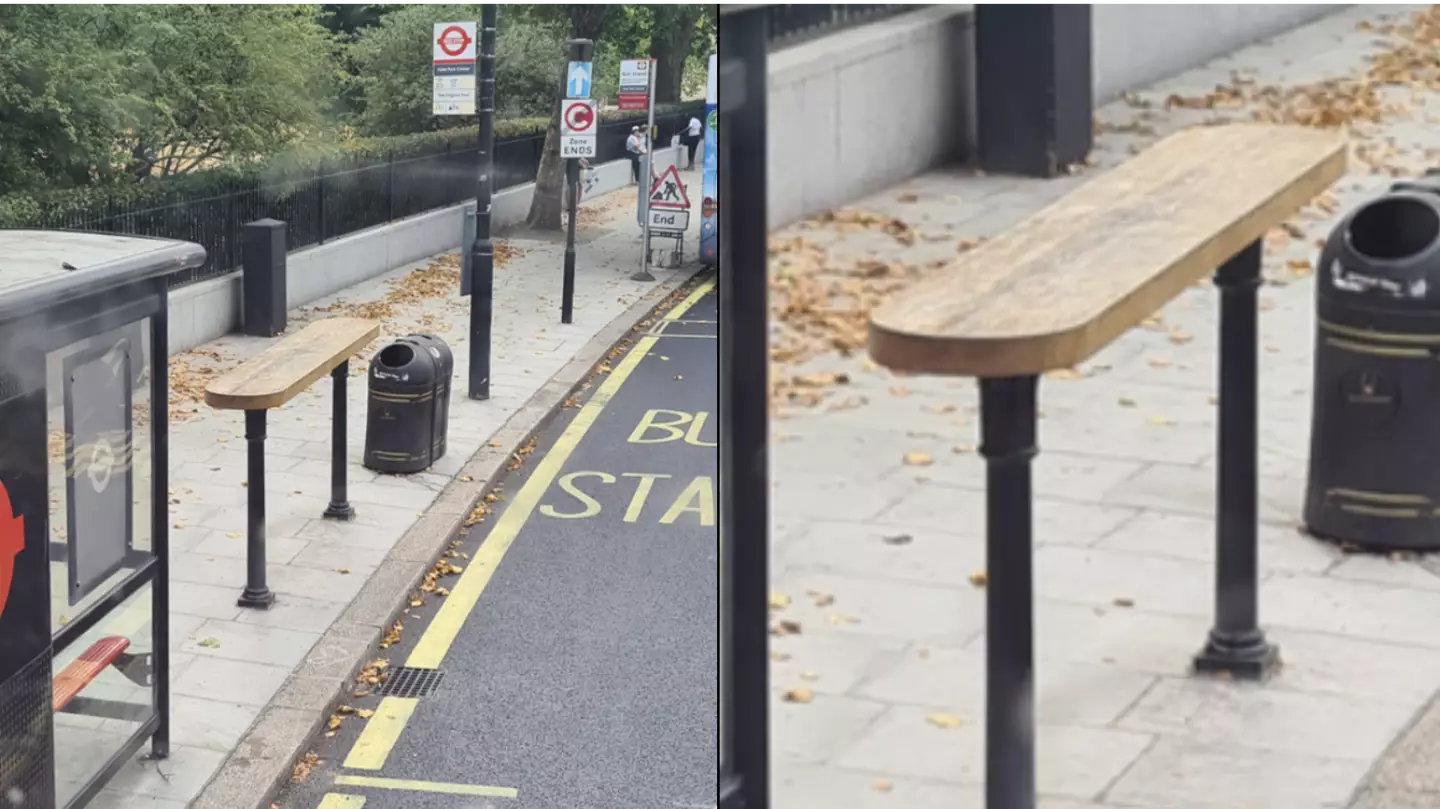 Londoners are questioning what 'wooden thing' is next to bus stop at Hyde Park