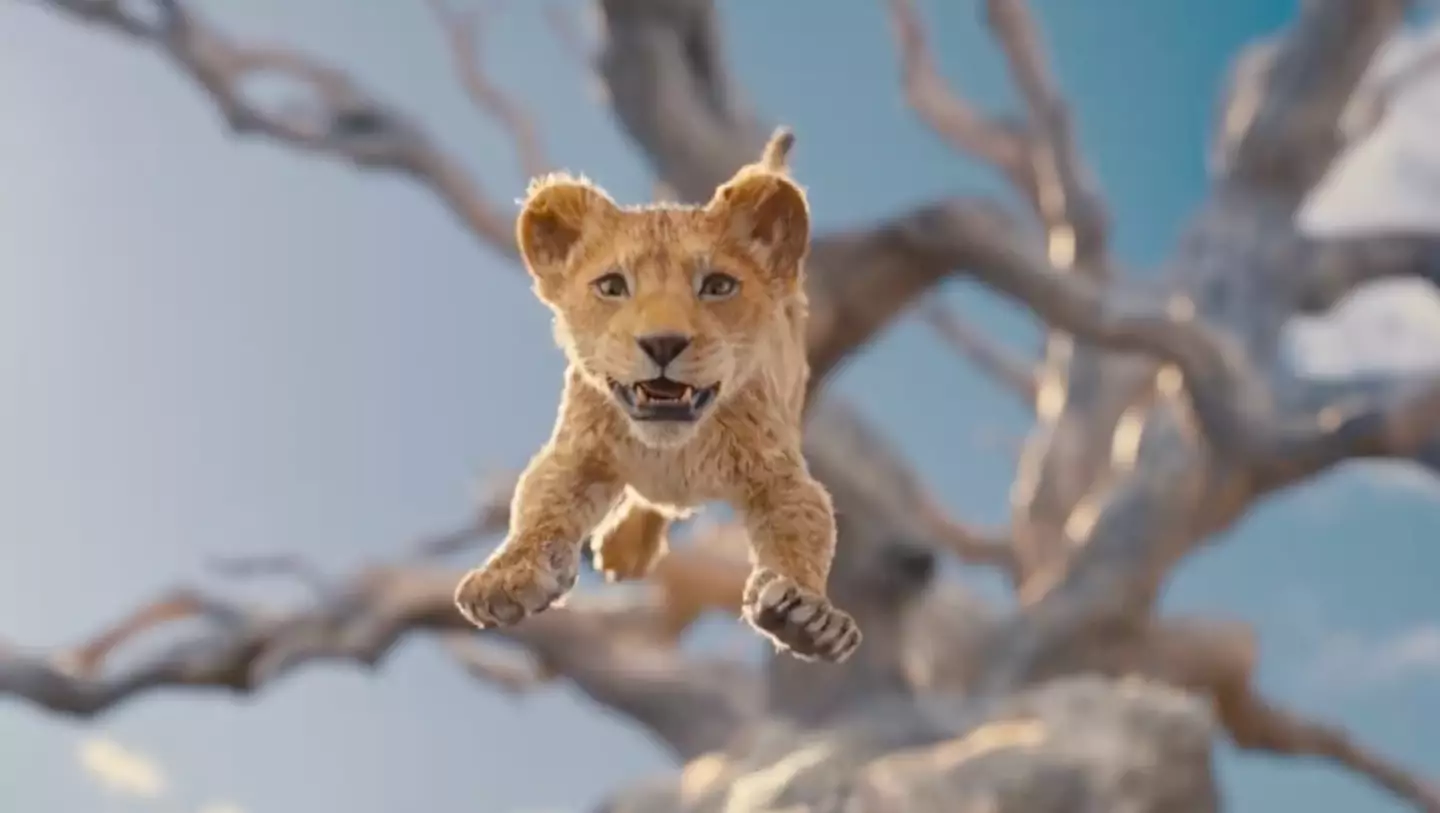 The film will focus on Mufasa rather than Simba this time. (Disney)