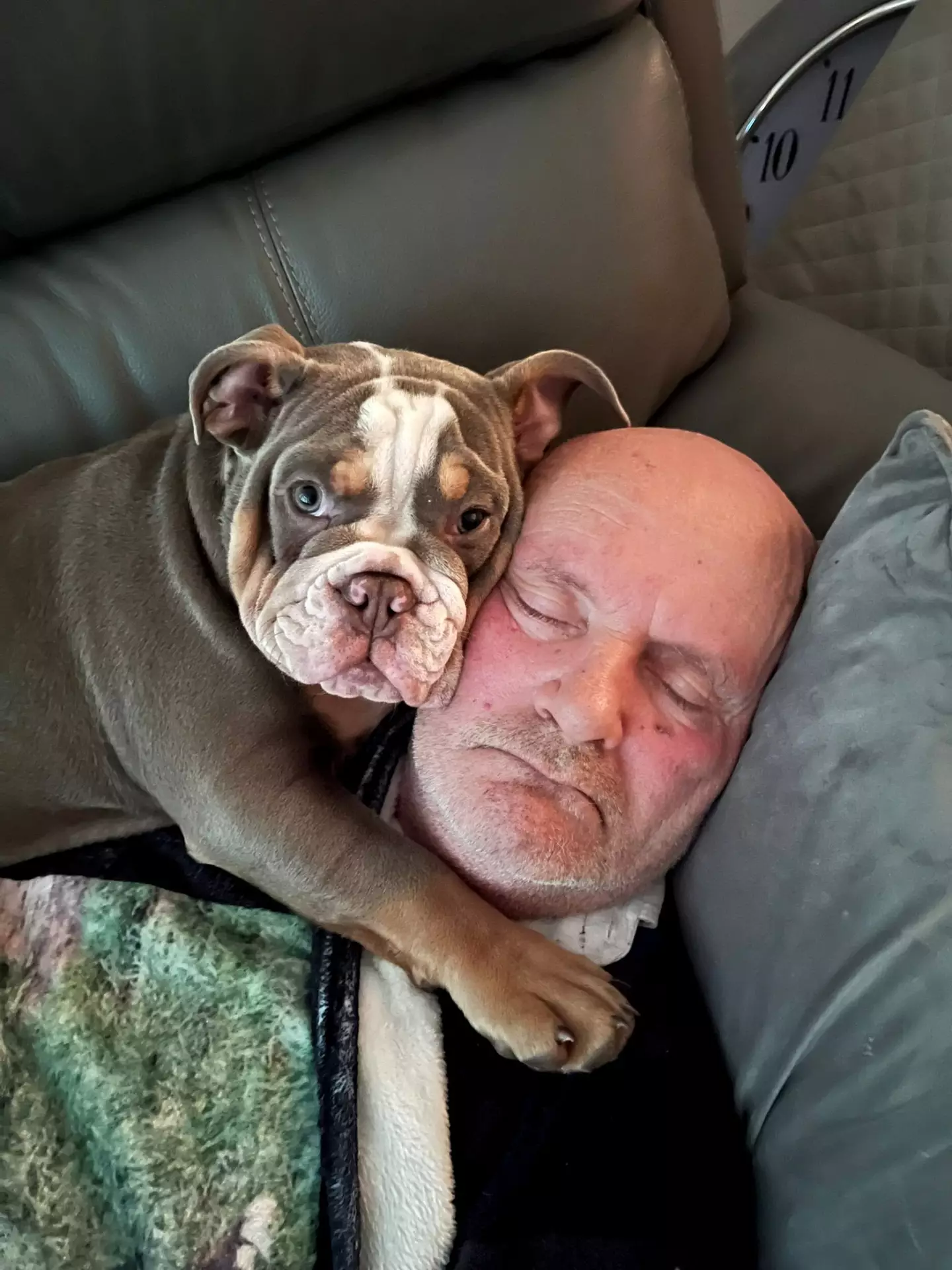 But the adorable pup actually did his owner a huge - and lifesaving - favour (SWNS)