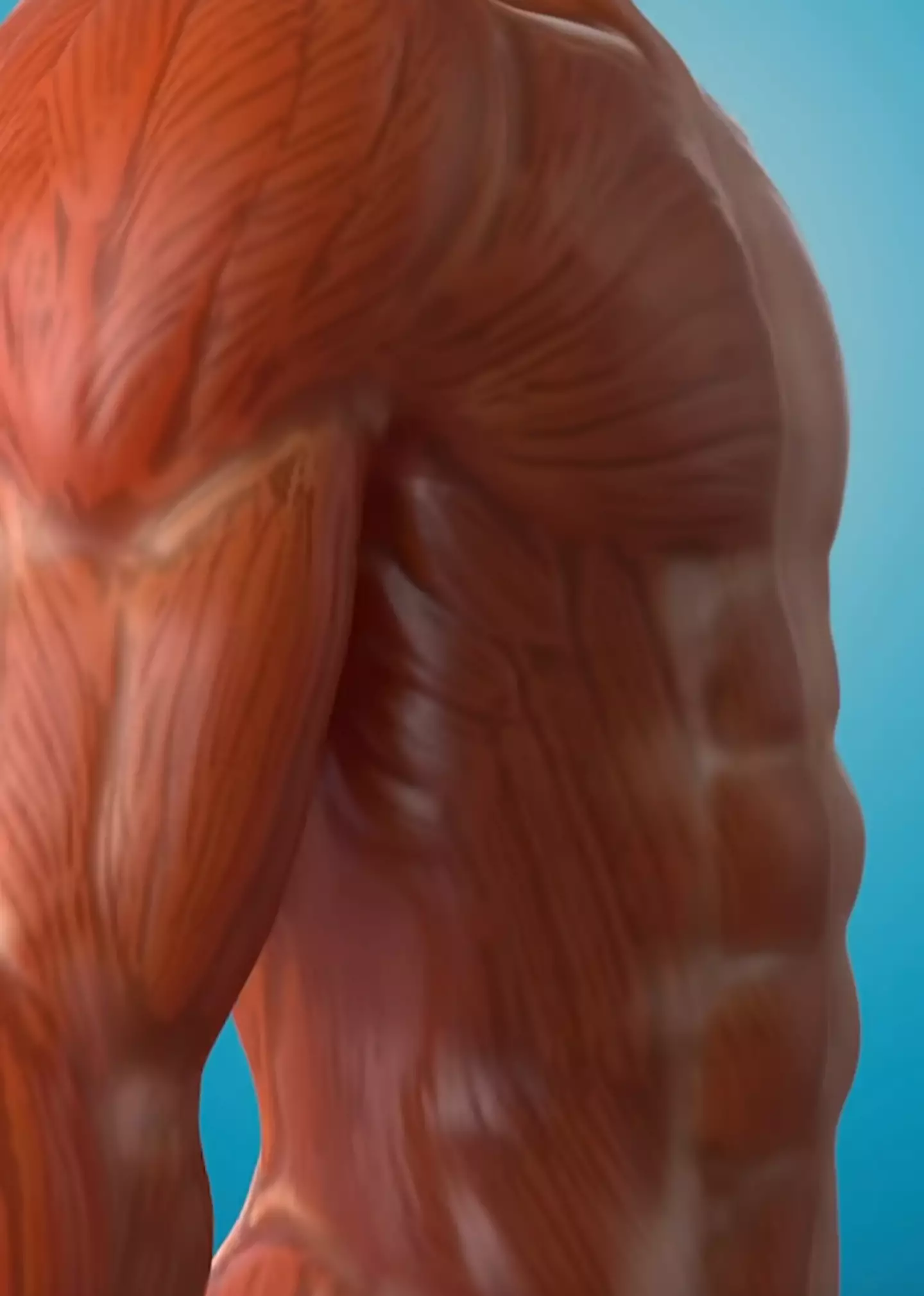 After seeing that video, I wouldn't be surprised if everyone reading went for a run (YouTube/@theanatomylab)