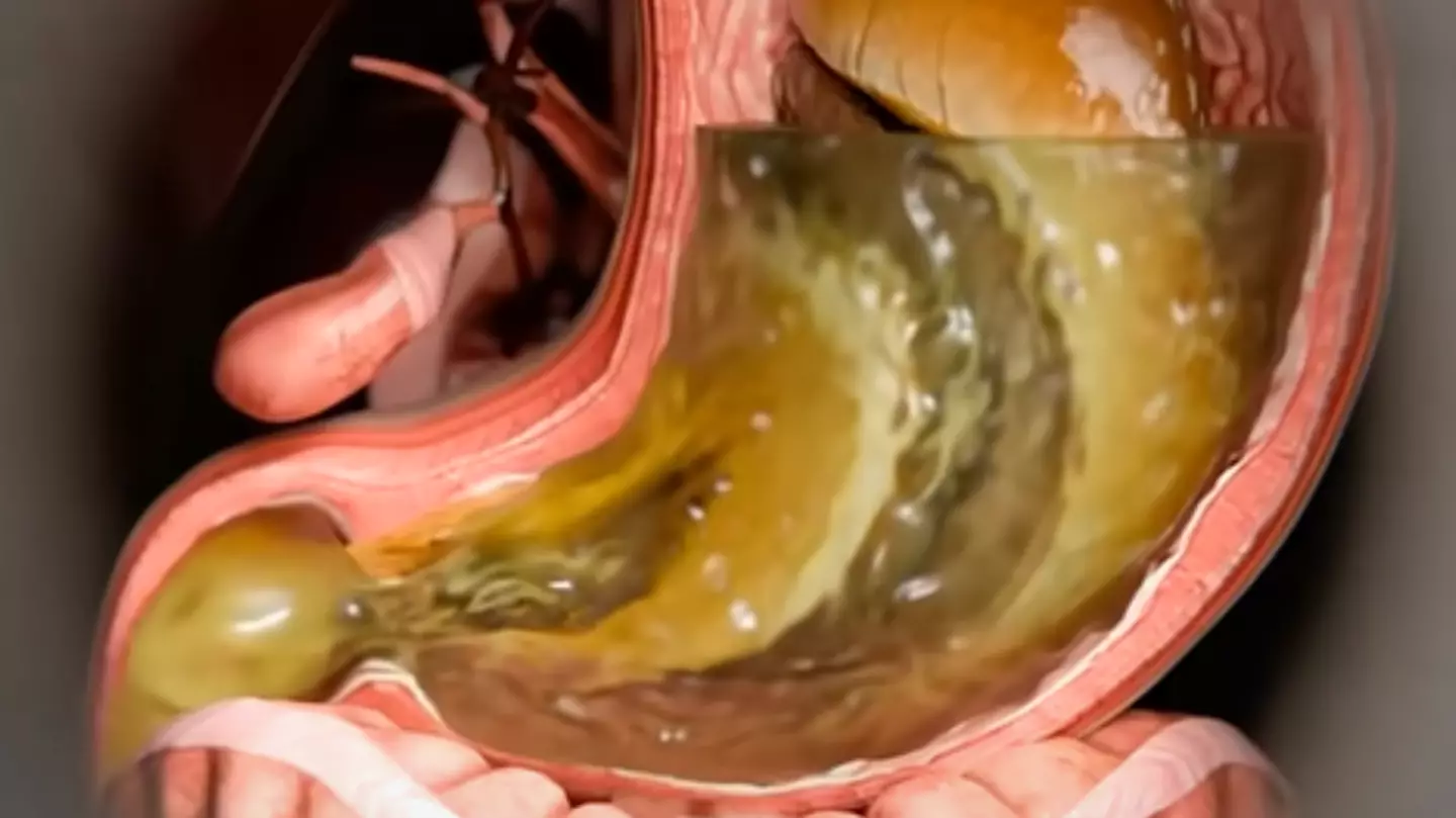 YouTube/Zack D Films