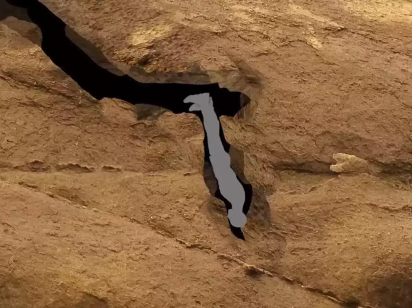 He was stuck in this position (Reddit)