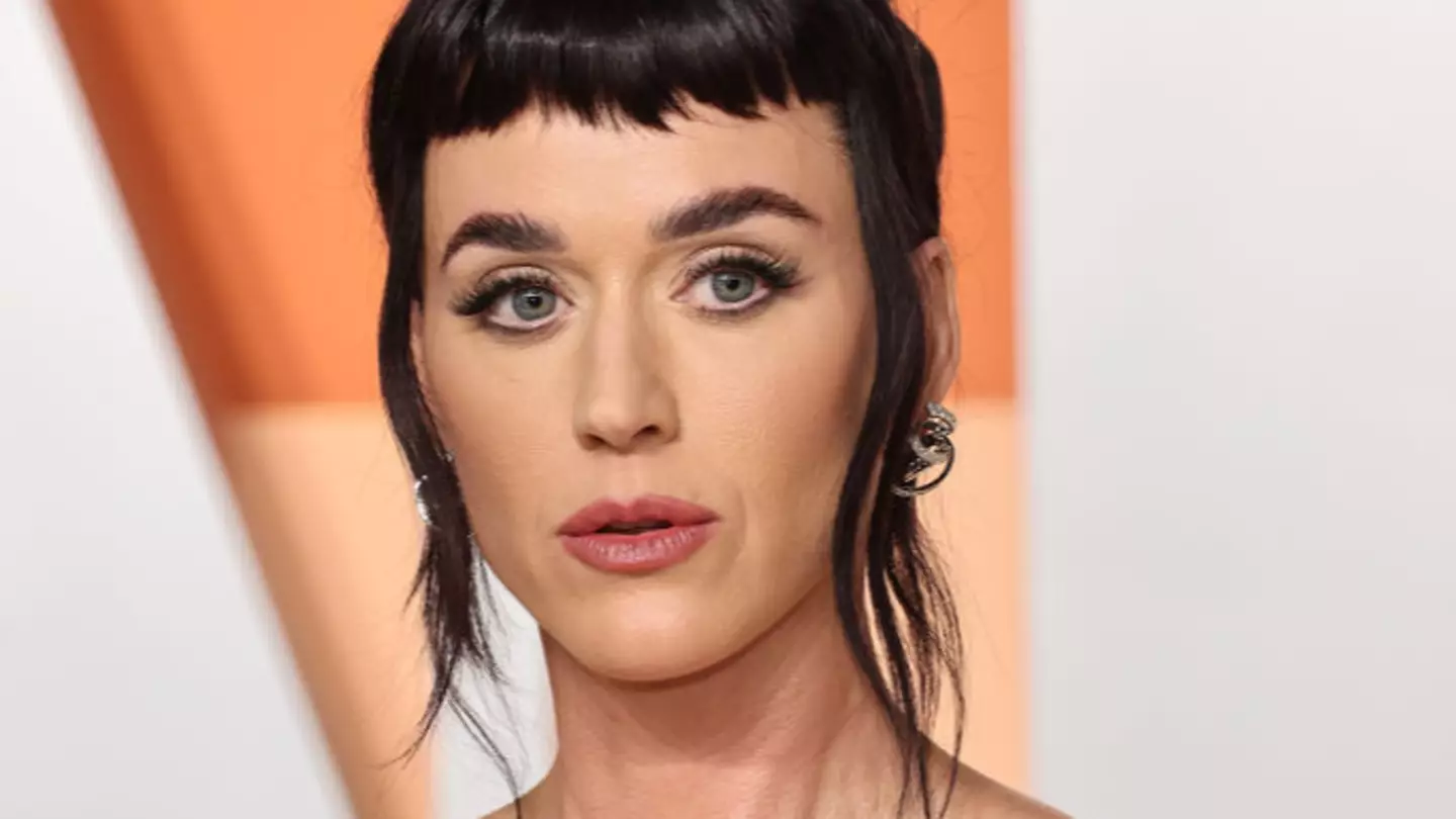Katy Perry had 45-page rider list leaked that came with one 'absolute no'