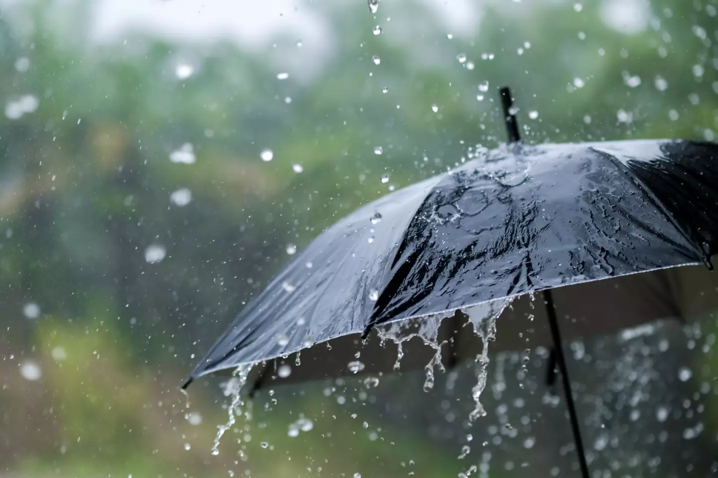 People are baffled to find out the true meaning of what '30% chance of rain' is.
