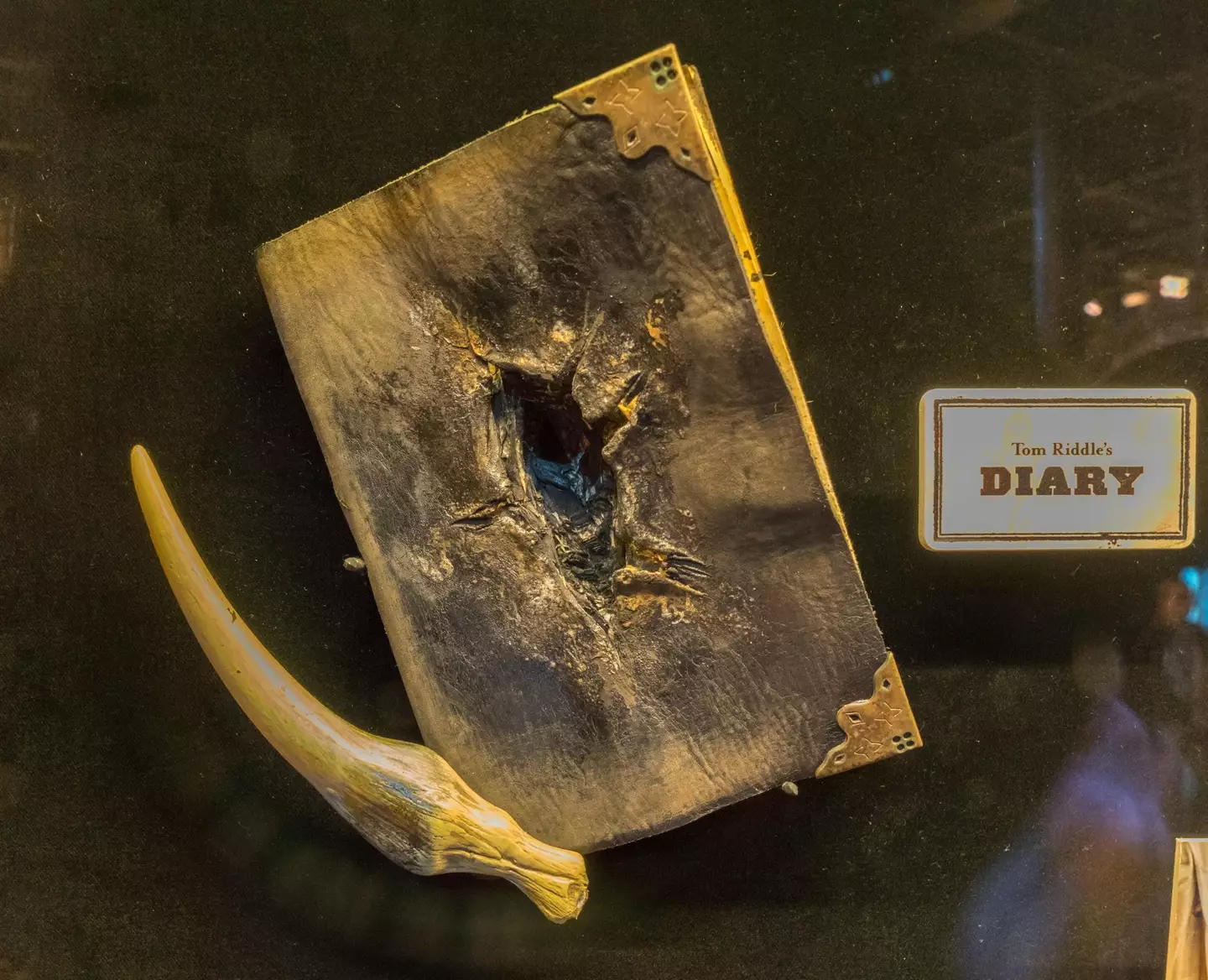 Harry Potter fans want to know why the basilisk fang he was bitten with didn't destroy the horcrux inside him.