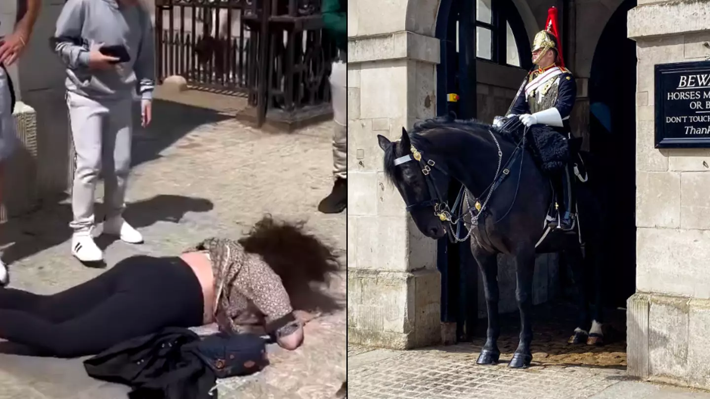 Tourist knocked face-first to the ground after being ‘headbutted’ by King’s Guard horse