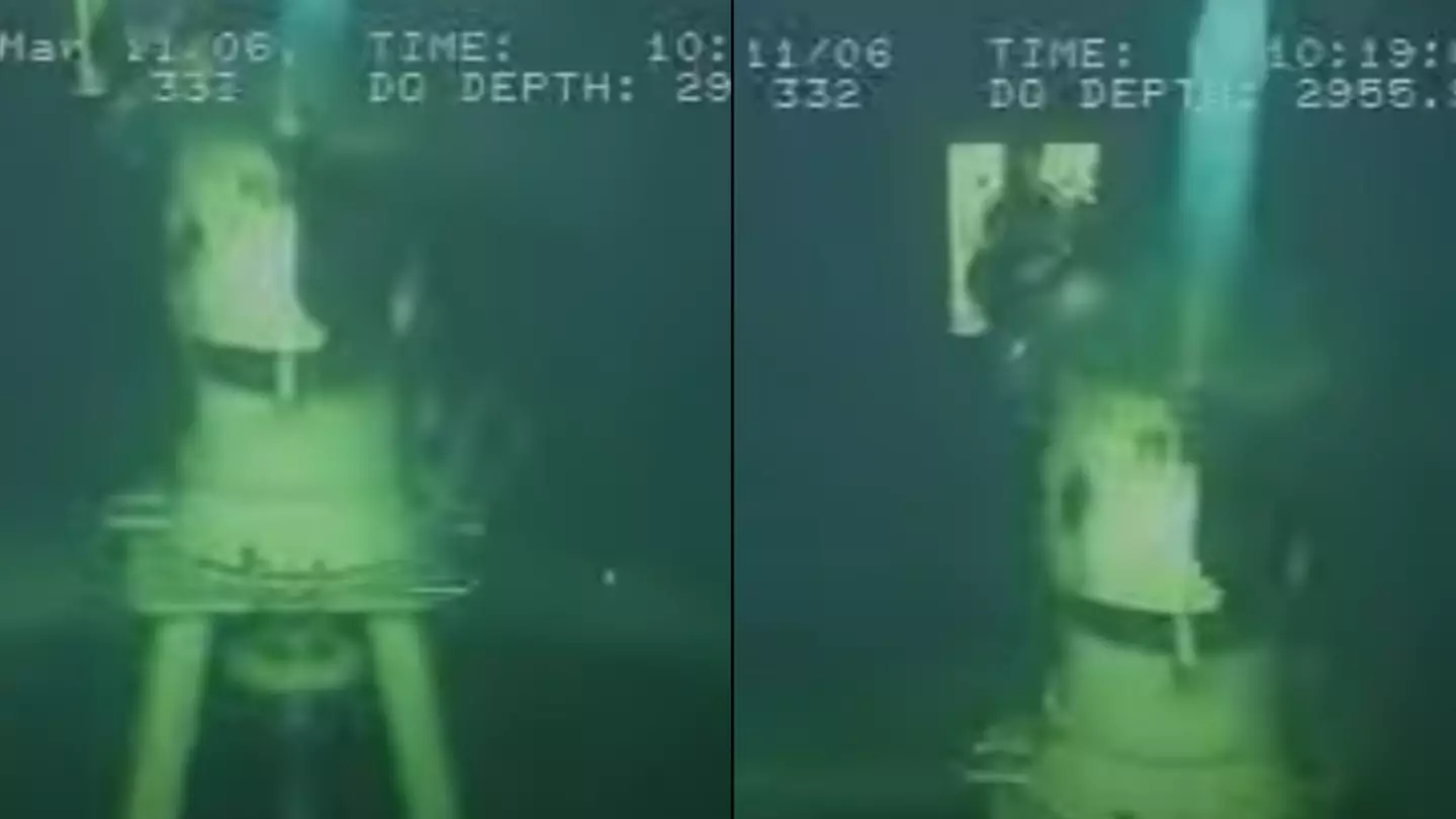 Scientists get unexpected deep sea visitor when inspecting gas line 3,000ft underwater