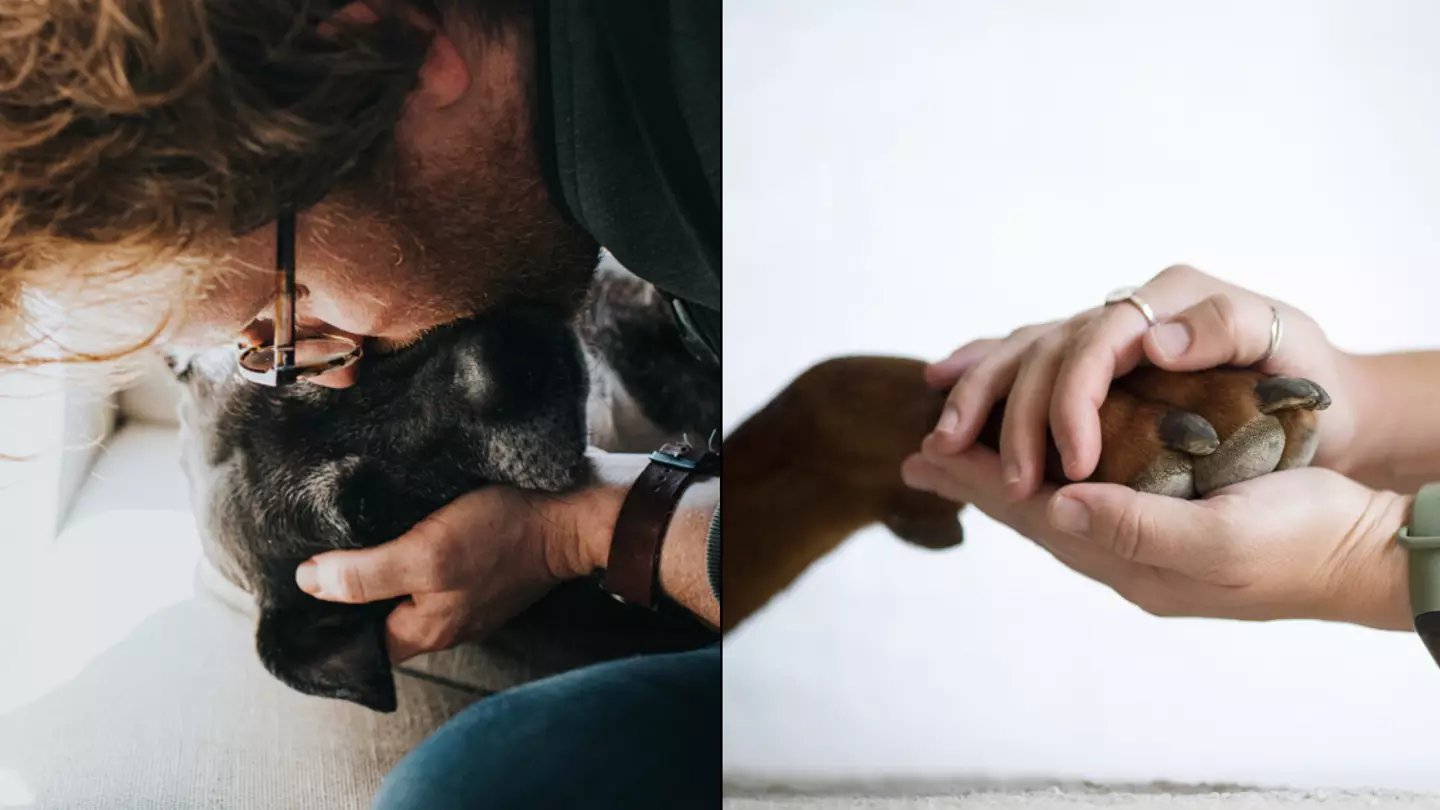 Vet gives heartbreaking plea to owners putting their dog to sleep after seeing their final moments
