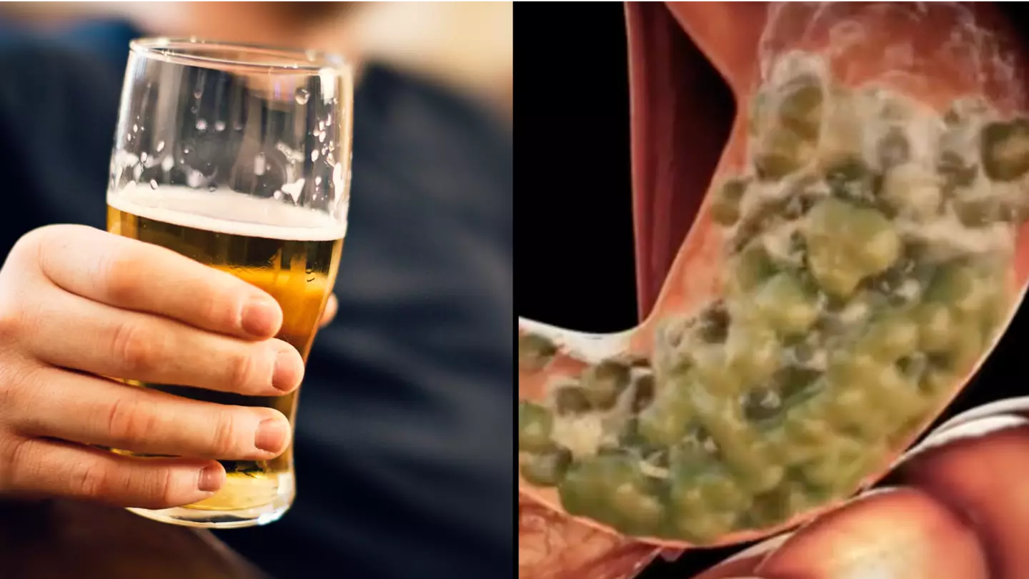Difference between drinking alcohol on empty and full stomach demonstrated in detailed video
