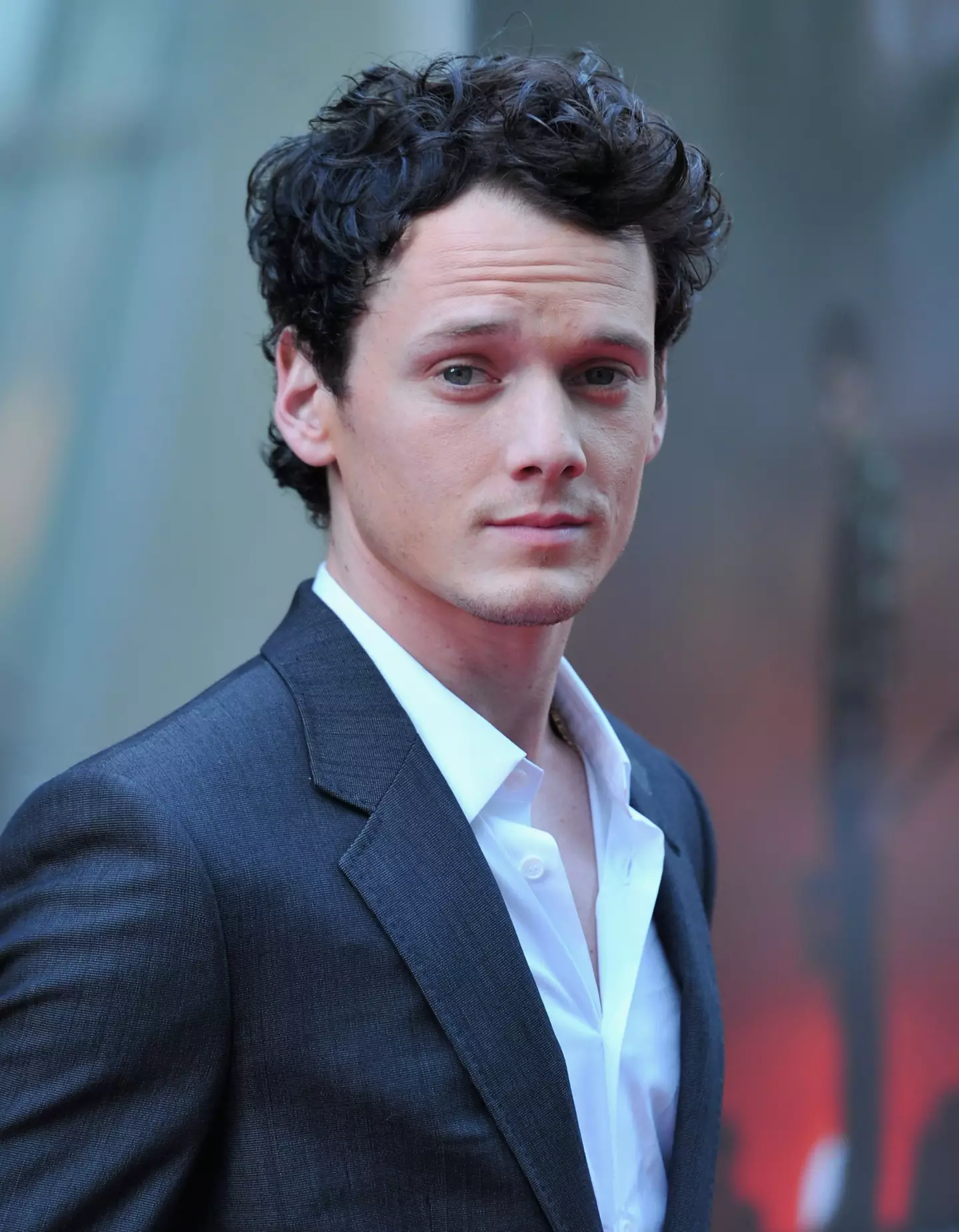 Anton Yelchin died in a freak accident (Alberto E. Rodriguez/Getty Images)