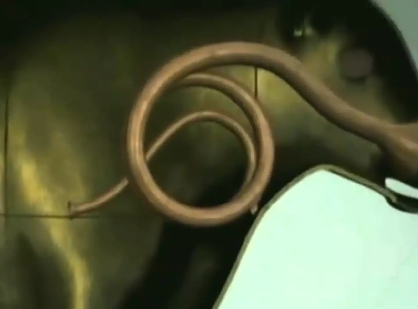 As you screamed the pipes would turn your wails of agony into other sounds. (Discovery)