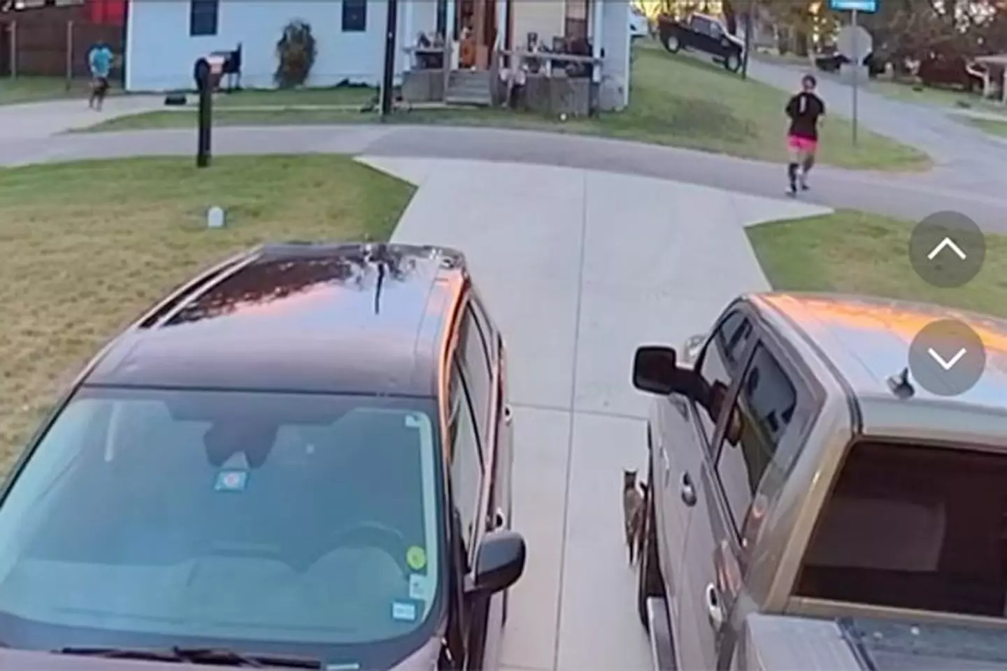 The clip has gone viral on TikTok (TikTok/@artsyfartsyag)