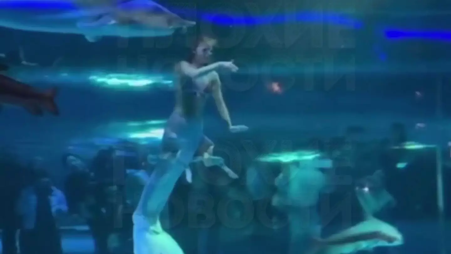 Horrifying moment giant fish attacks mermaid performer's face in front of terrified children