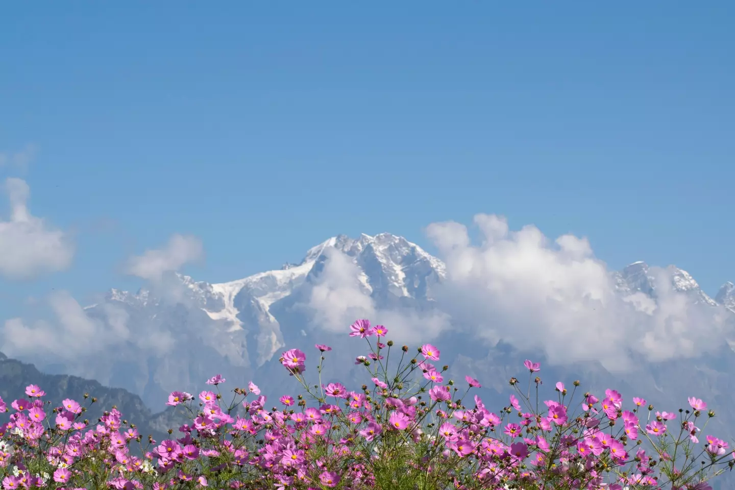 The yoga retreat was in the Uttarakhand area of India.