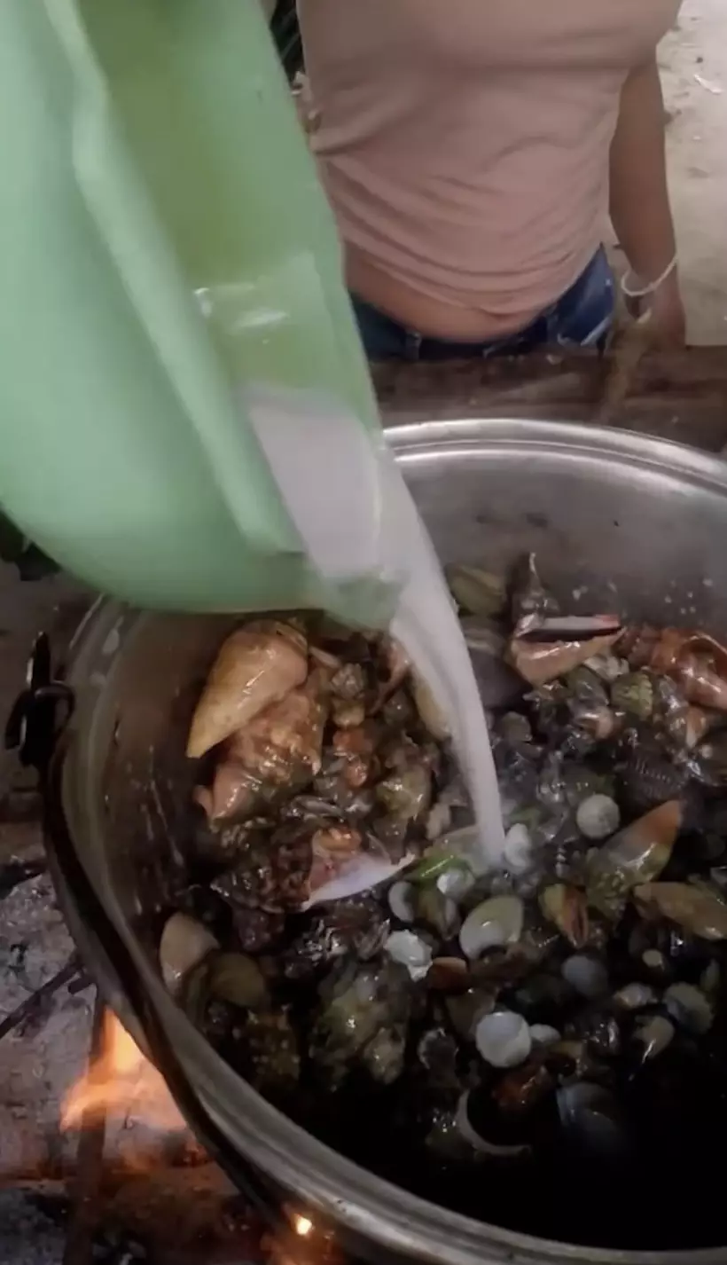 In her final video, the 51-year-old could be seen fishing and cooking shellfish (ViralPress)