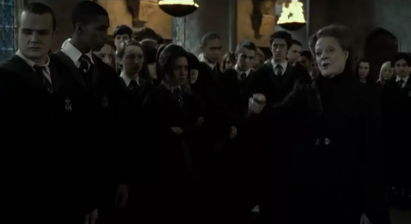 We see Goyle and Blaise among the Slytherin students thrown in the dungeons.