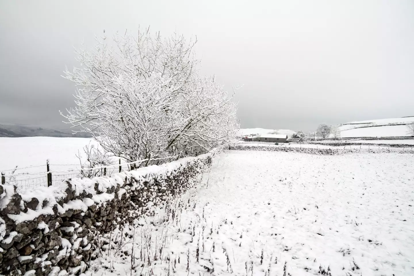 The UK has been hit with snow.