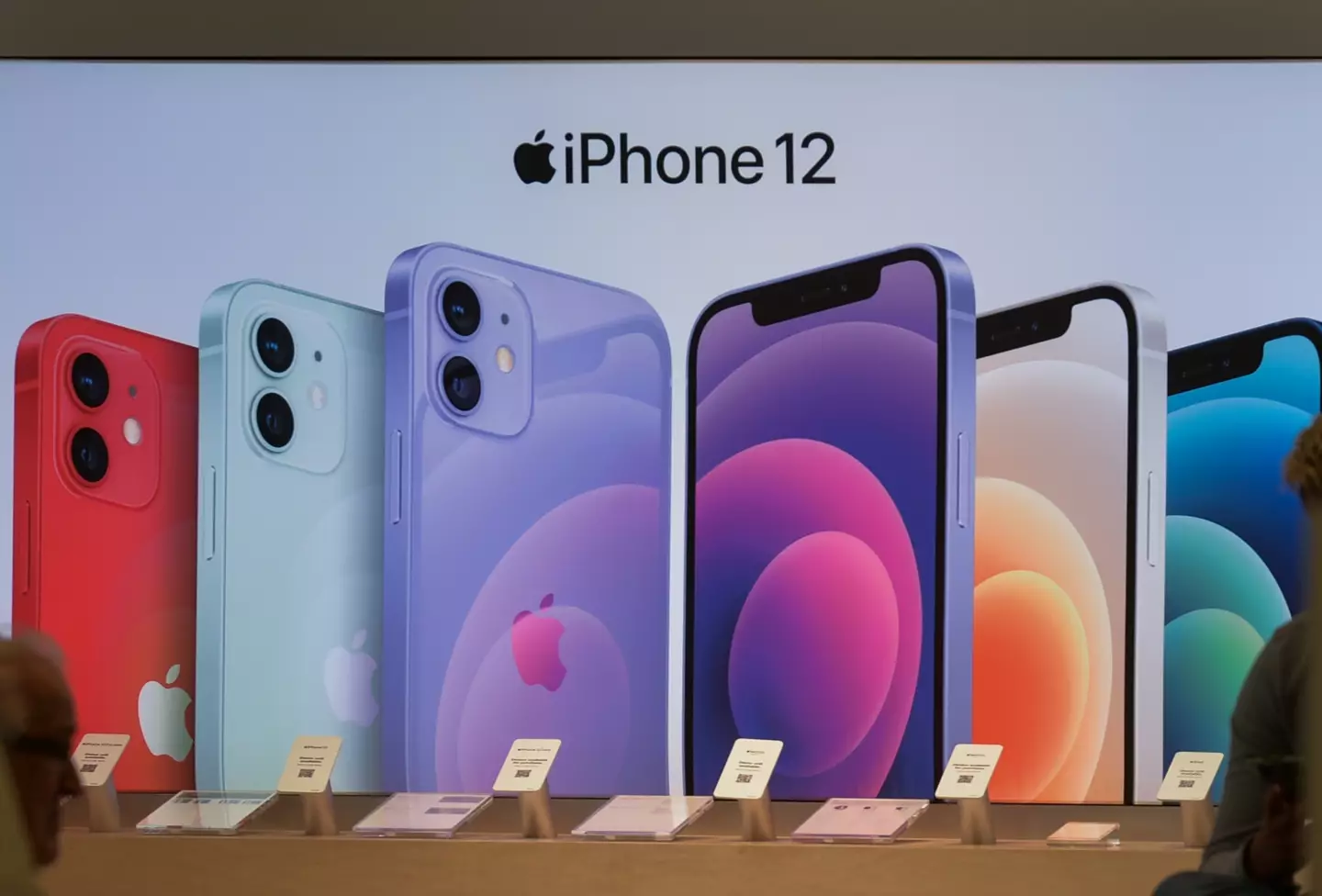 iPhone 12 models were found to have high radiation levels.