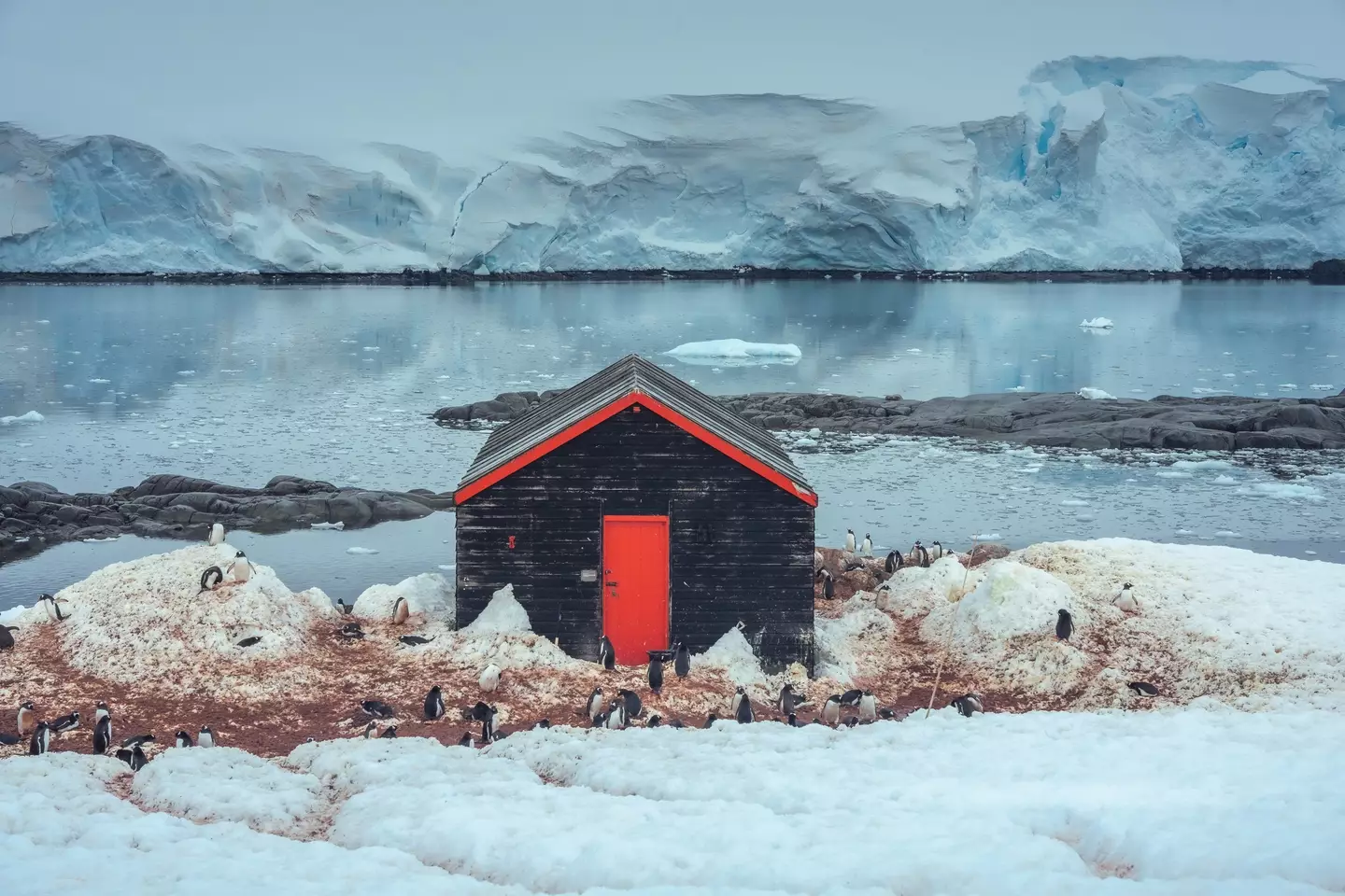 The 'Penguin Post Office' is located in Port Lockroy in the continent of Antarctica.