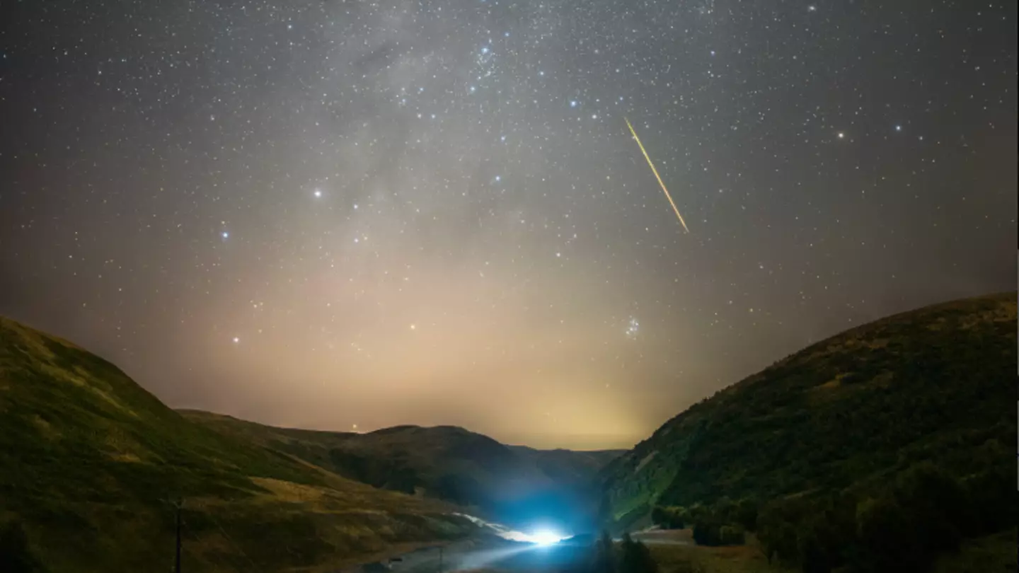 Getty/Steven Robinson Photos