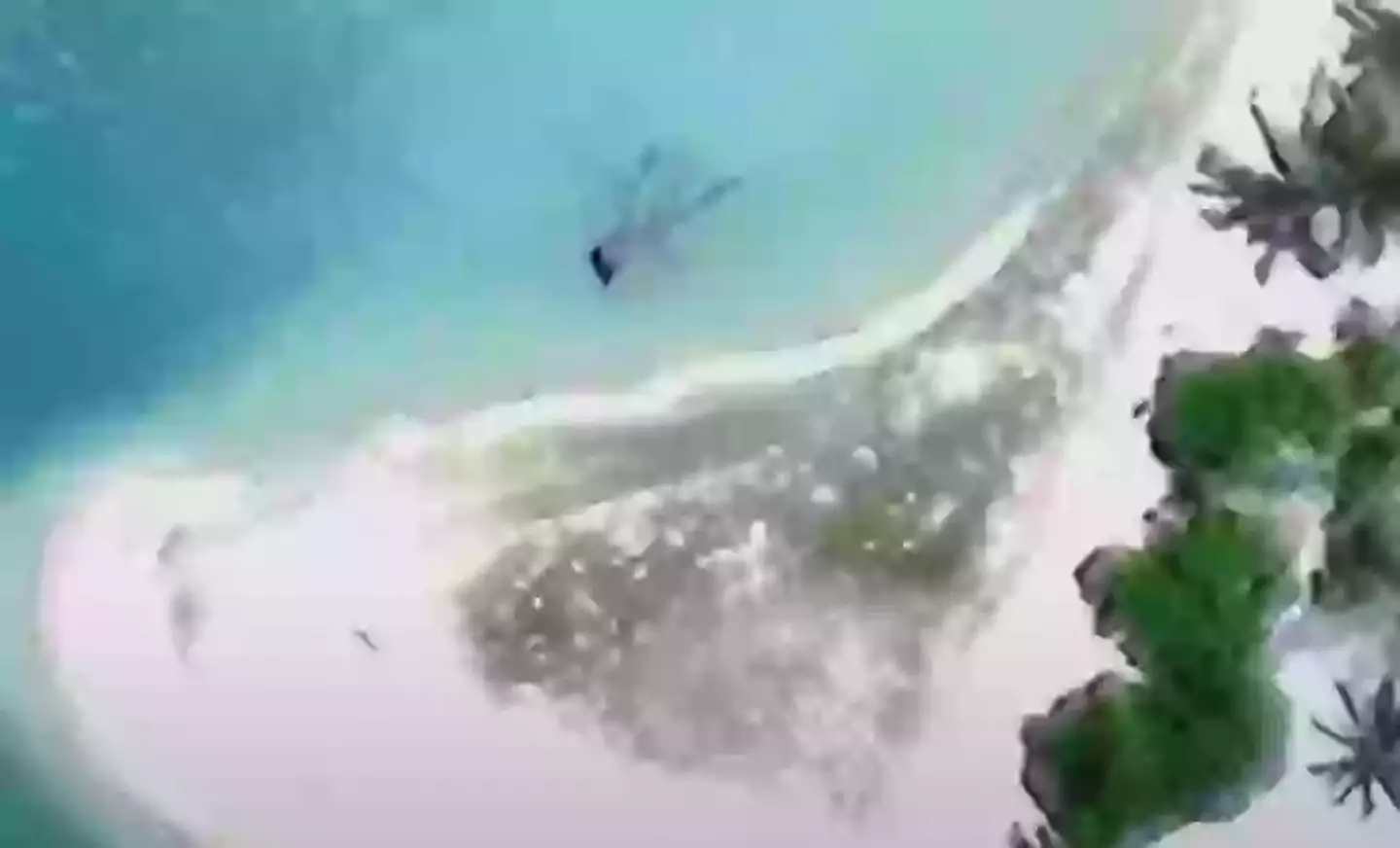 This satellite imagery is what the scientists are going to investigate (Archaeological Legacy Institute/Today)