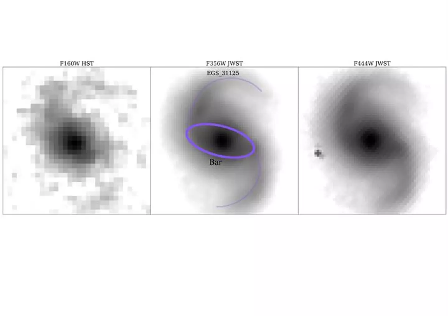 Grey-scale image of a galaxy from 10.6 billion years ago showing thick bars, which are strips of stars (Zoe Le Conte)