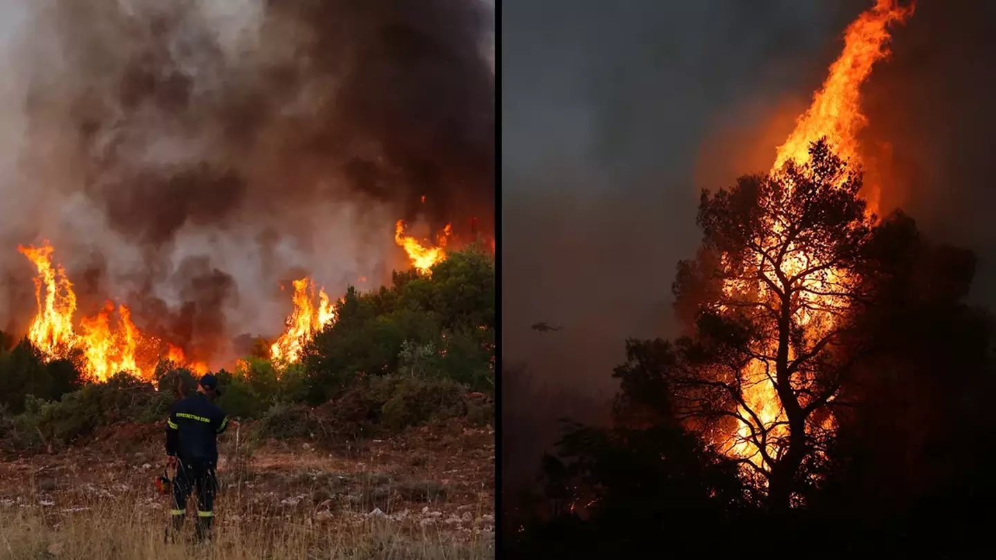Costas Baltas/Anadolu Agency via Getty Images