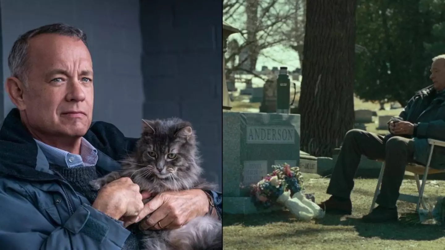 Netflix viewers caught off-guard as newly-added Tom Hanks movie is labelled as a 'comedy'