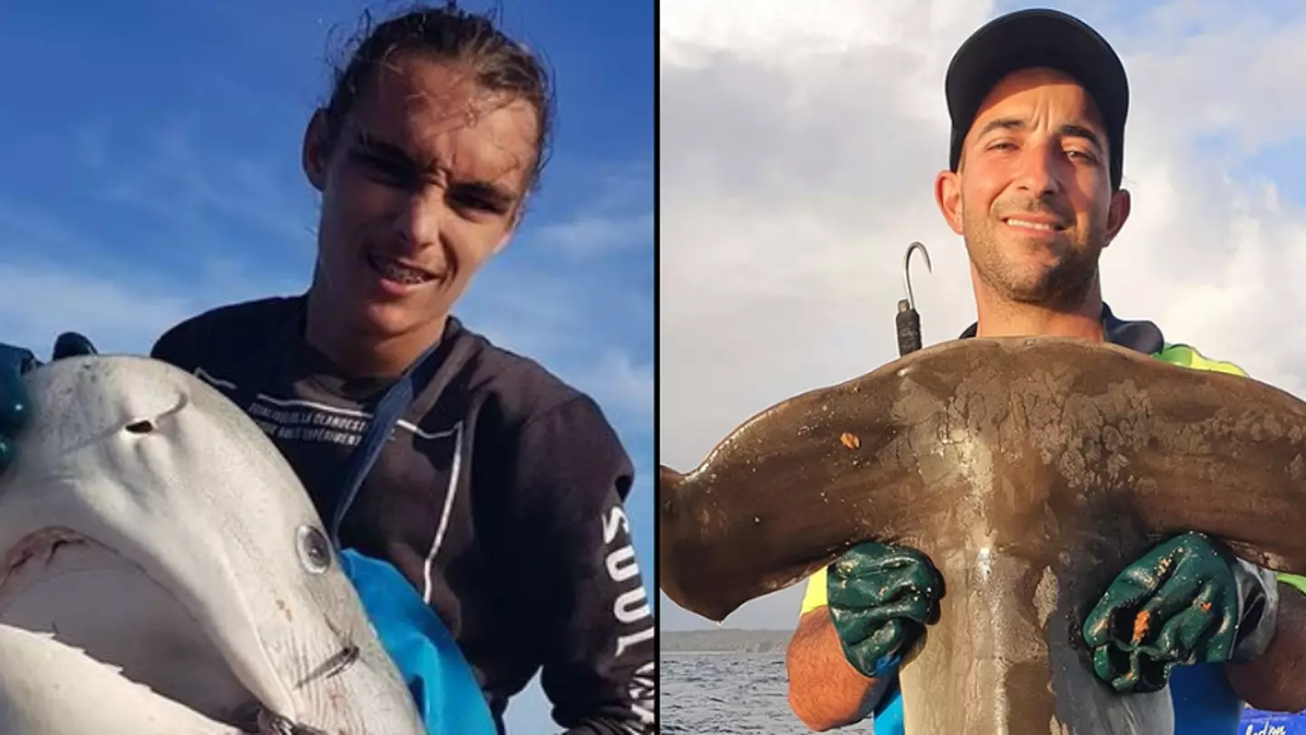 Fishermen Leaves People Shocked After Reeling In Three Sharks With Horrific Wounds