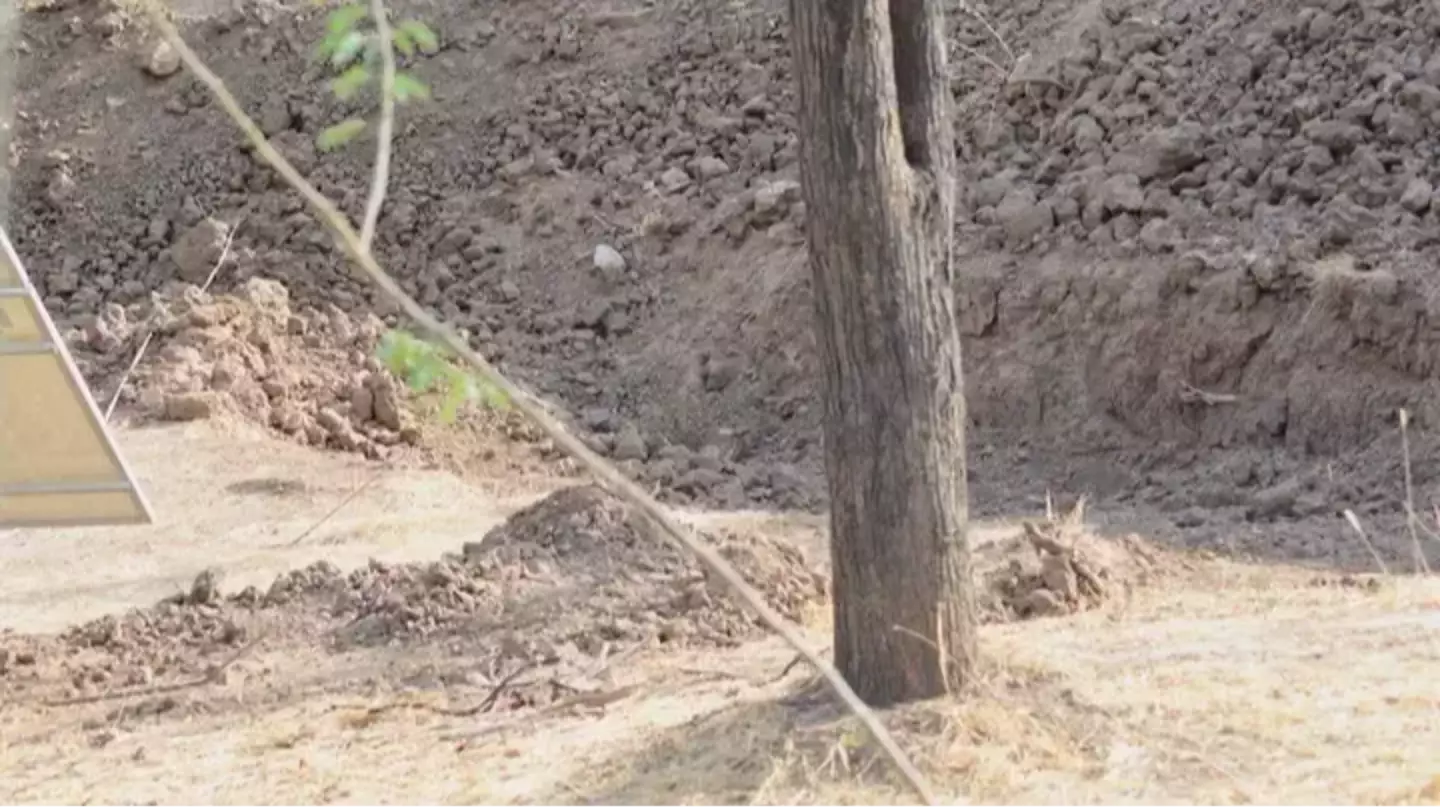 Internet still baffled by picture of leopard hiding in a ditch