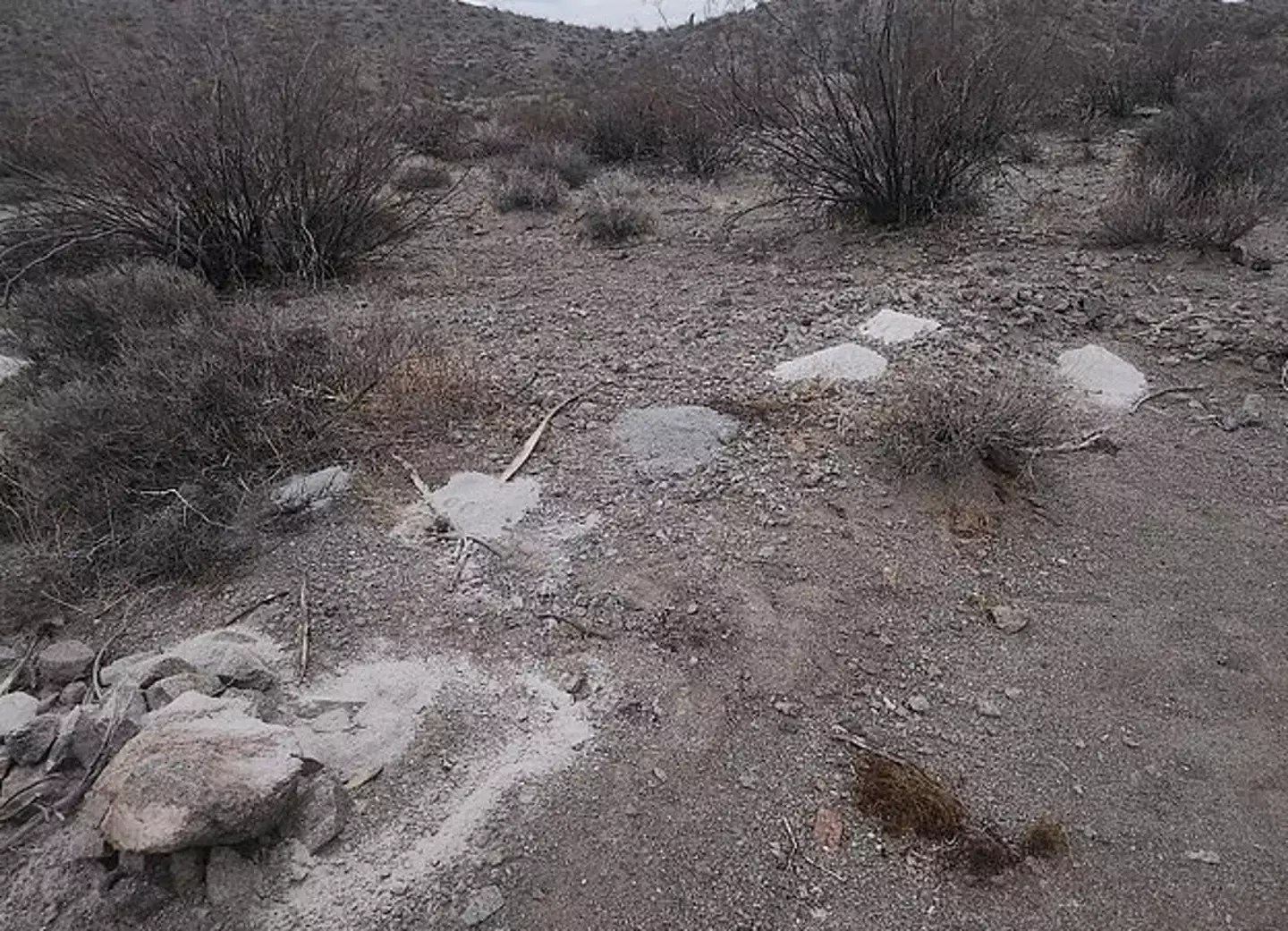 The disturbing discovery was found near the tiny town of Searchlight, Nevada (KLAS)