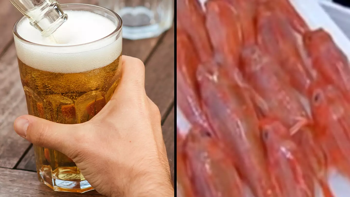 People are horrified after realising there's fish guts in pints of beer